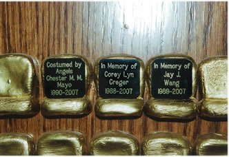 Plaques